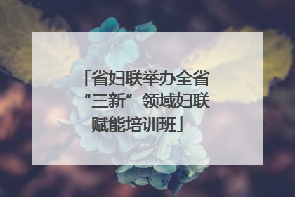 省妇联举办全省“三新”领域妇联赋能培训班